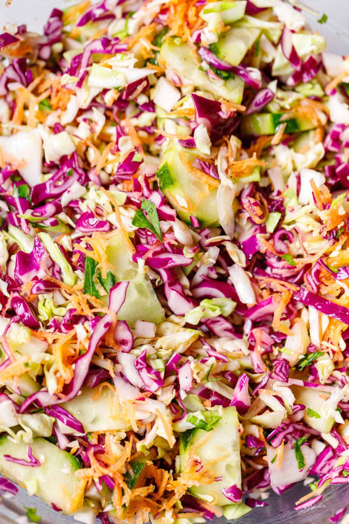 Close-up of fresh cabbage salad with green cabbage, purple cabbage, cucumber, and shredded carrots