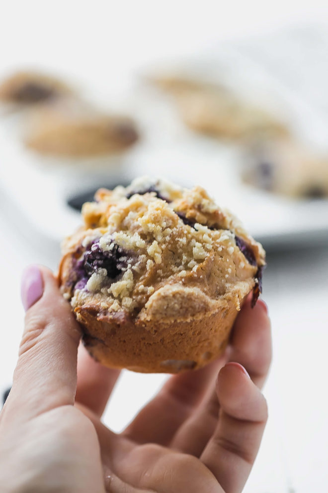 Blueberry muffins with olive oil in a hand