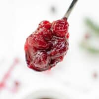 A spoon full of easy homemade cranberry sauce
