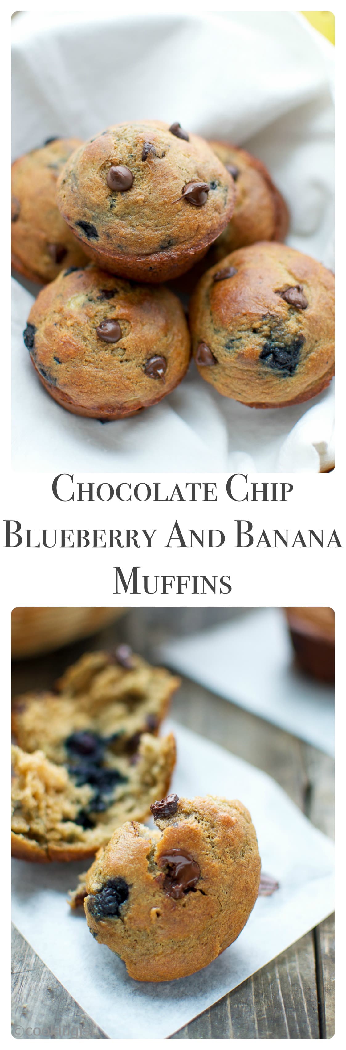 Chocolate-Chip-Banana-Blueberry-Muffins