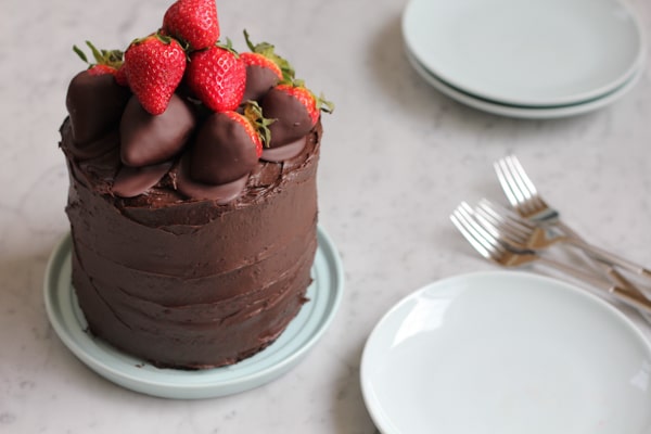 the best chocolate cake ever