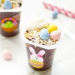 Snack-Pack-Easter-Pudding-Nests