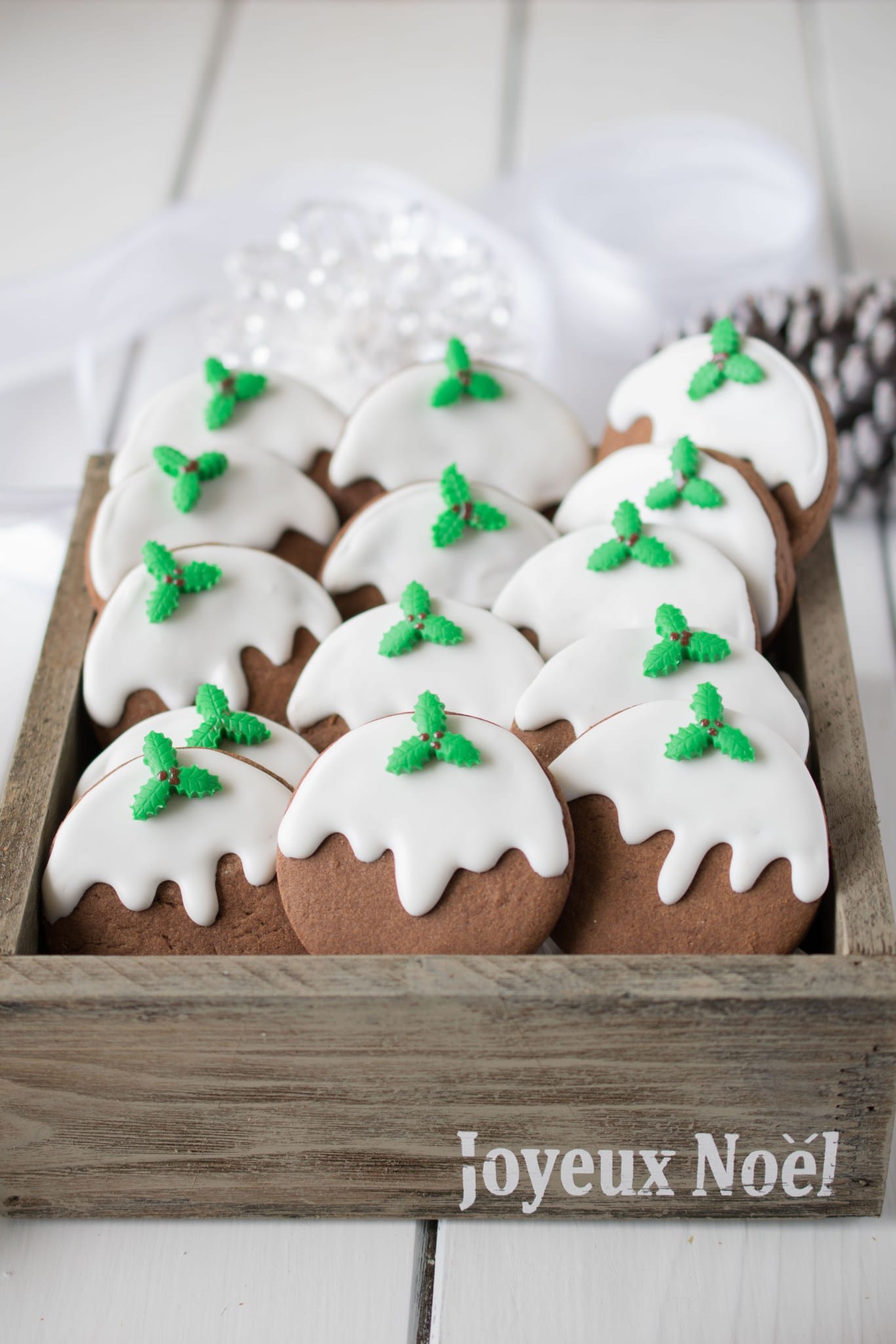 Christmas-pudding-cookies-201