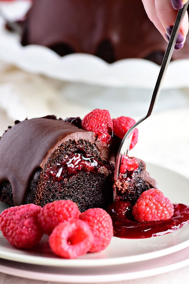 chocolate raspberry bundt cake