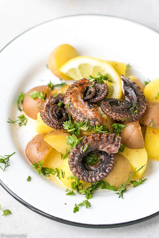 a plate with cirled fresh baby mediterranean octopus and potatoes. Octopus and potato salad recipe- easy to make.