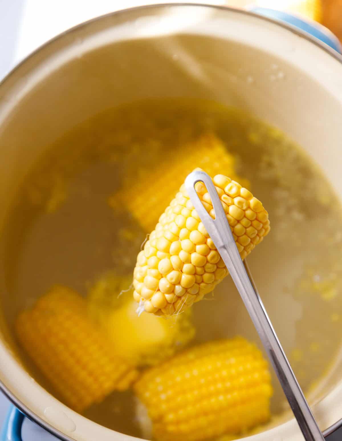Boiled corn on the cob lifted from the pot with kitchen tongs, ready to drain and serve.