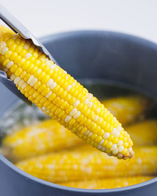 A ear of sweet corn on the cob taken out of the pot with hot boiling water