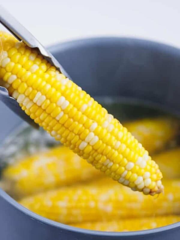 A ear of sweet corn on the cob taken out of the pot with hot boiling water
