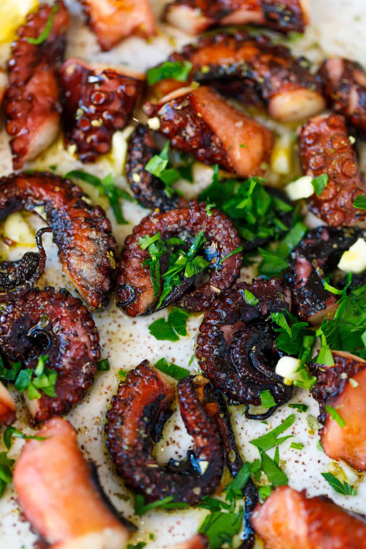Close view of grilled octopus tentacles with garlic and chopped parsley.