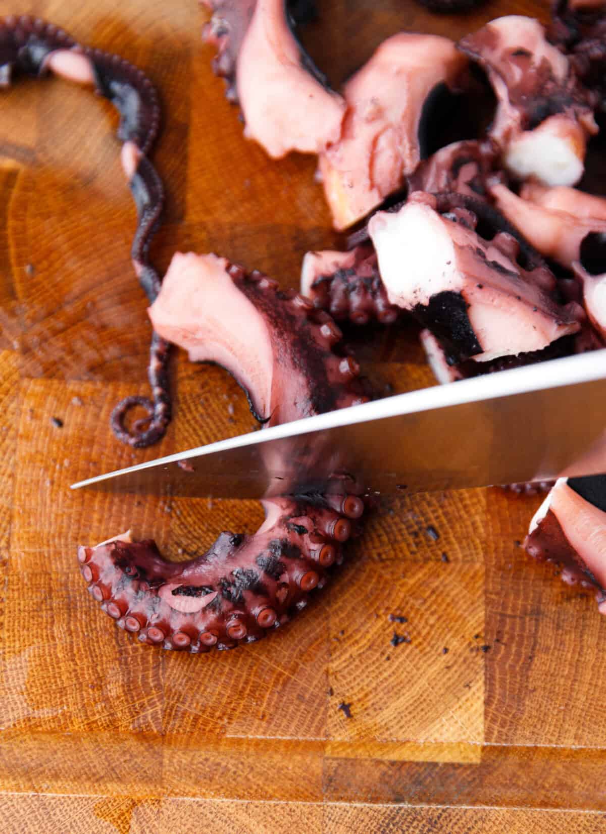 Cooked octopus tentacles cut on cutting board