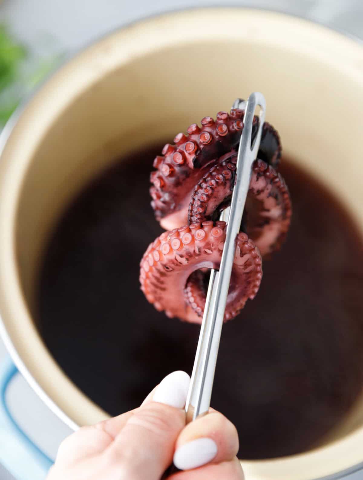 Cooked octopus tentacle lifted from pot with tongs.