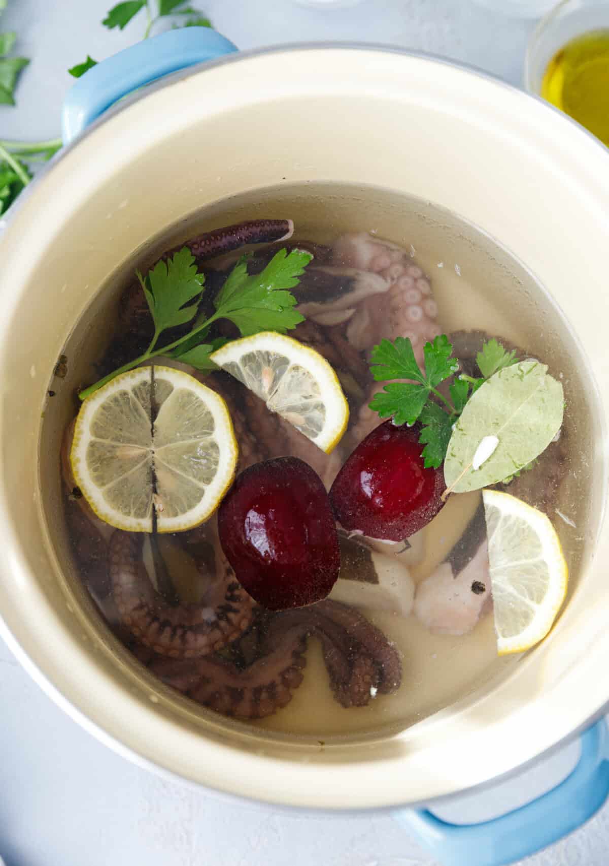 Pot of water with lemon slices, parsley, onion and bay leaf prepared for cooking octopus.