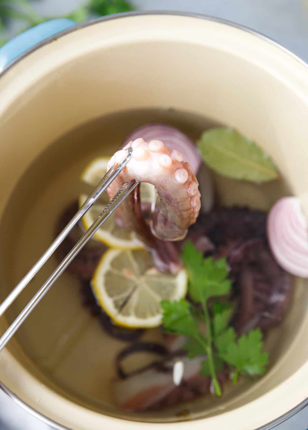 Cooked octopus tentacle lifted with tongs from a pot of lemon and herb boiling water.