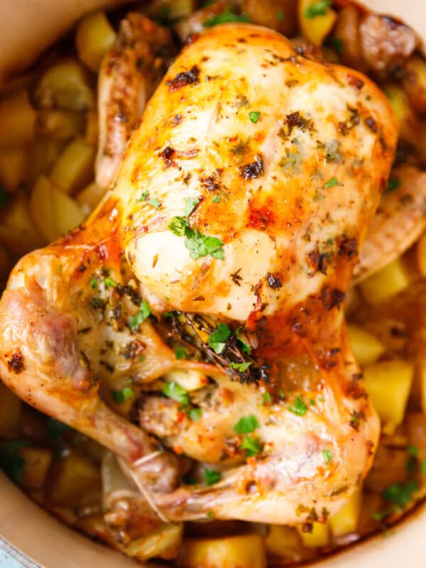 Whole roasted chicken with potatoes and herbs baked in a Dutch oven