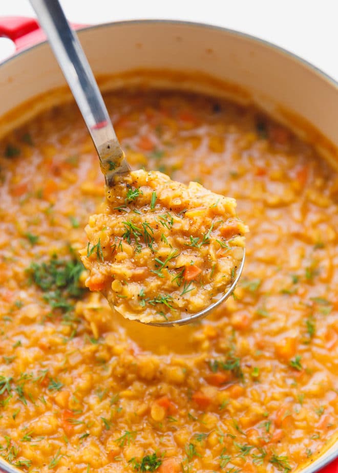 A ladle filled with Red lentil soup 