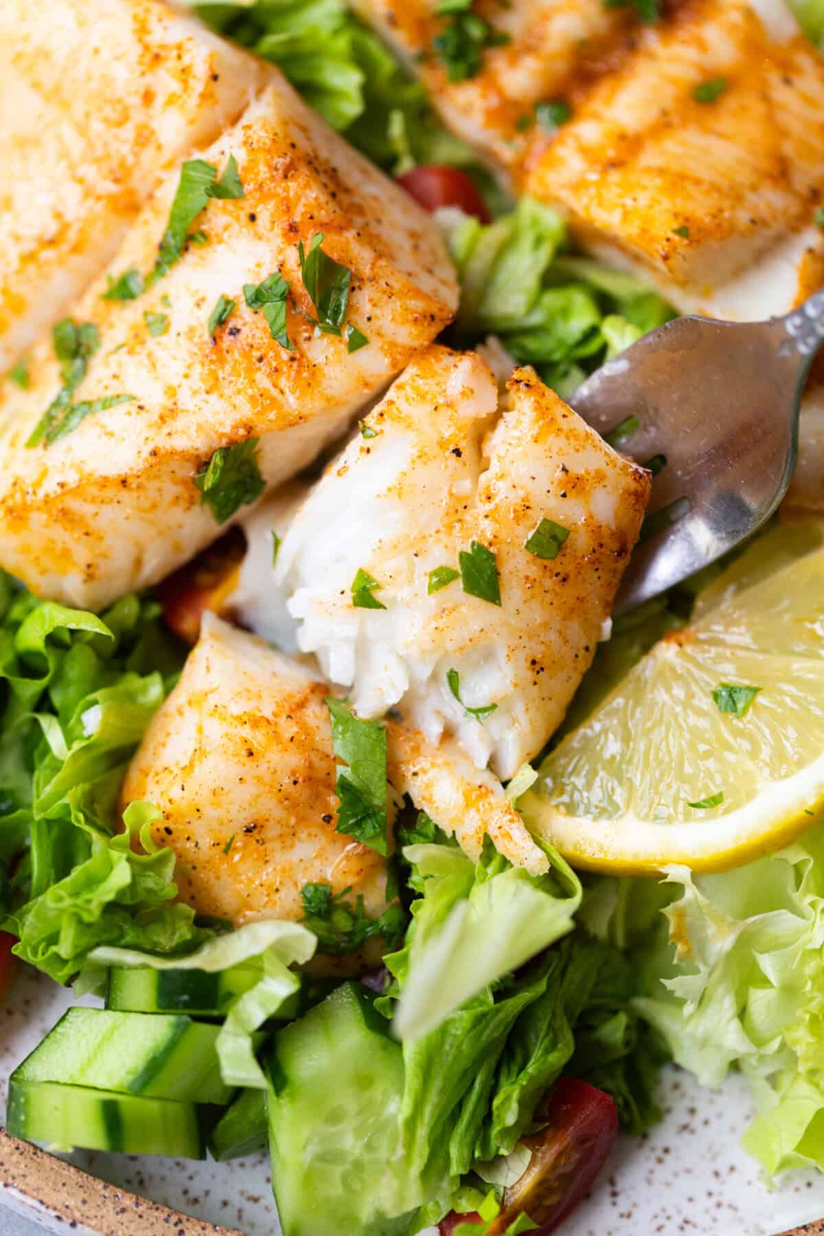 Tender piece of baked halibut fish on a fork over a green salad.