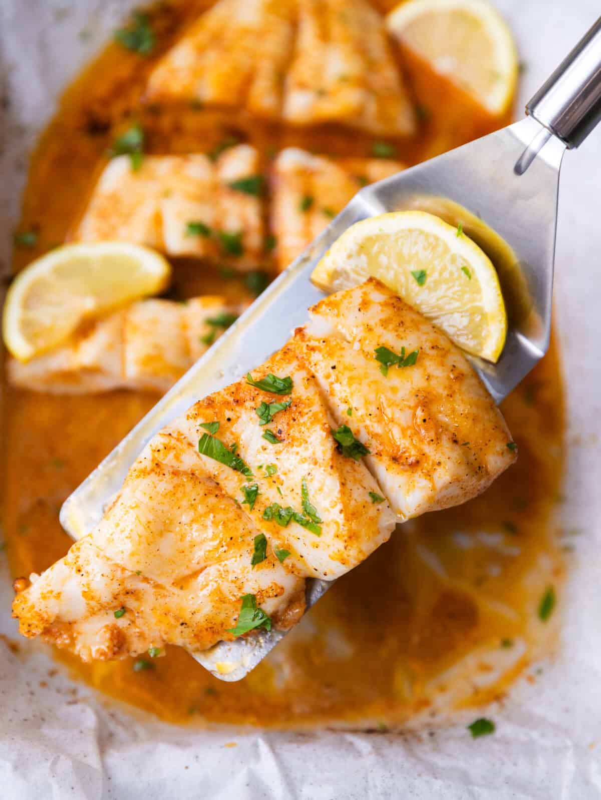 Golden baked Alaskan halibut filet on a metal spatula over a baking dish