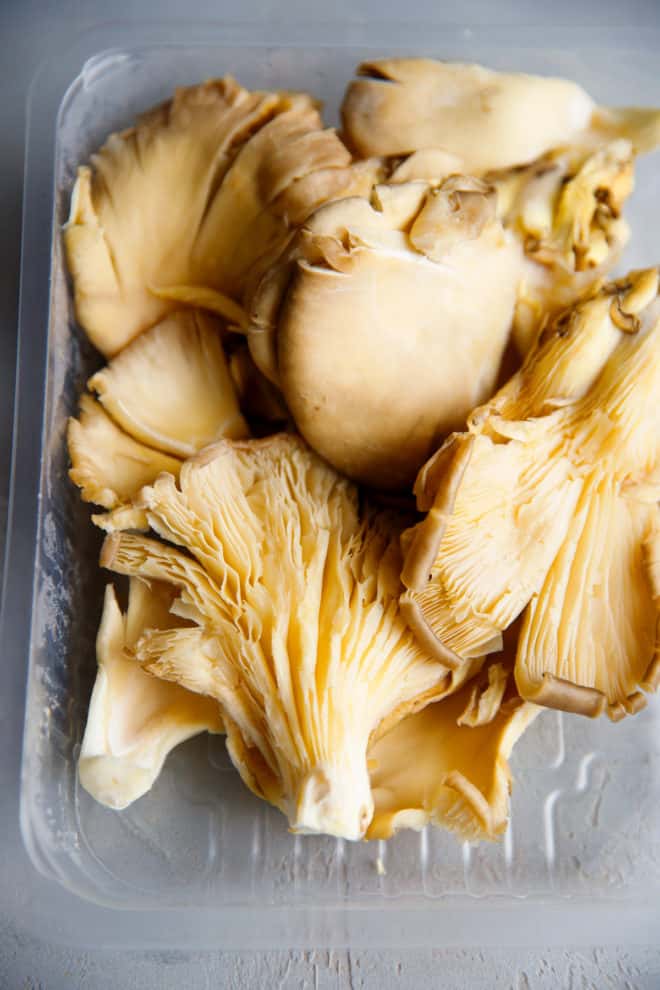 Oyster mushrooms in a plastic container