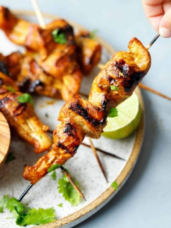 A hand holding a chicken Satay skewer