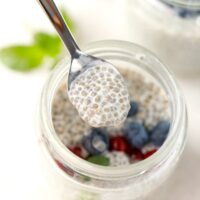 Basic chia pudding in a spoon