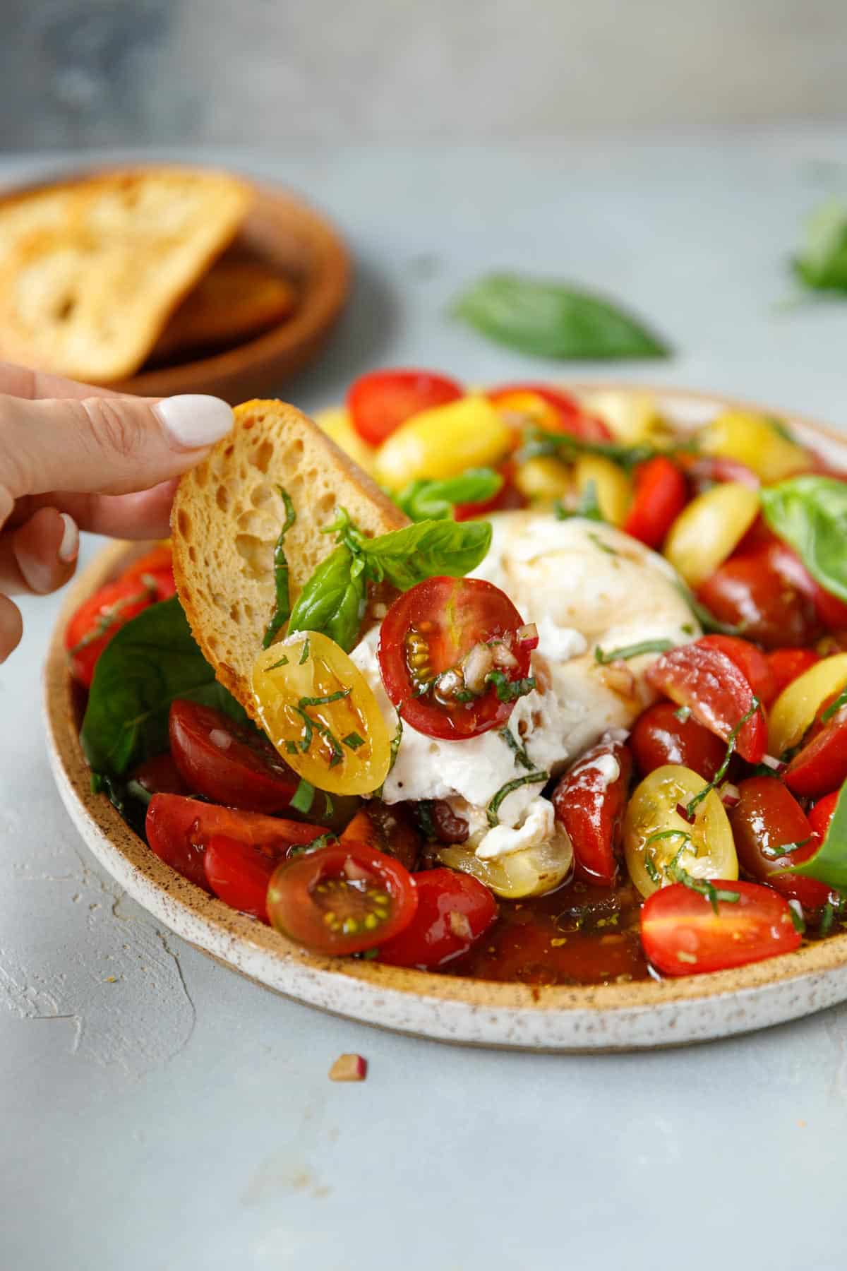 Marinated tomatoes and burrata with a slice of crusty baguette on a speckled plate