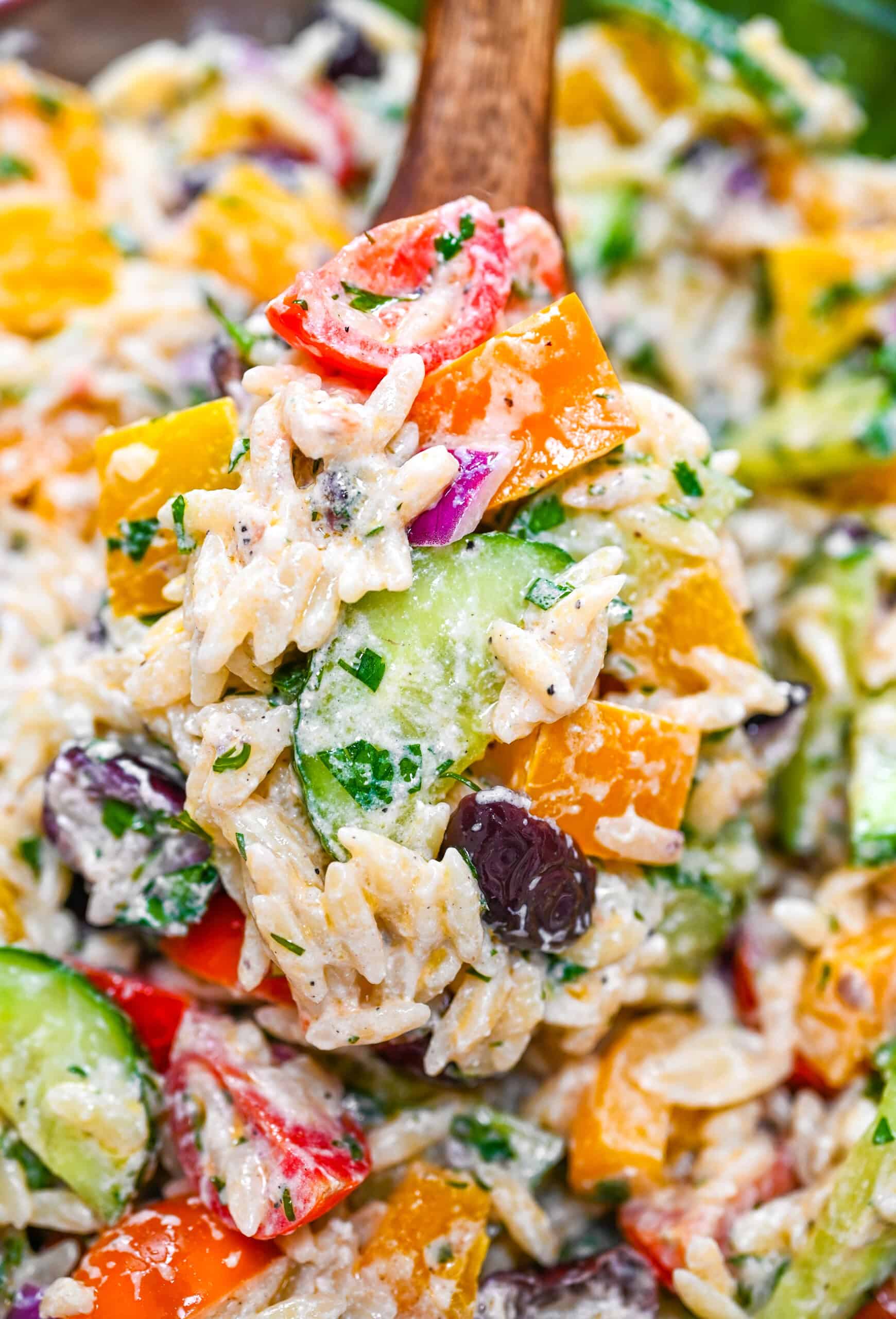 Creamy orzo pasta salad in a bowl