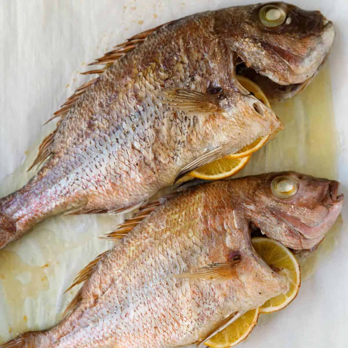 Two baked Fagri fishes on parchment paper
