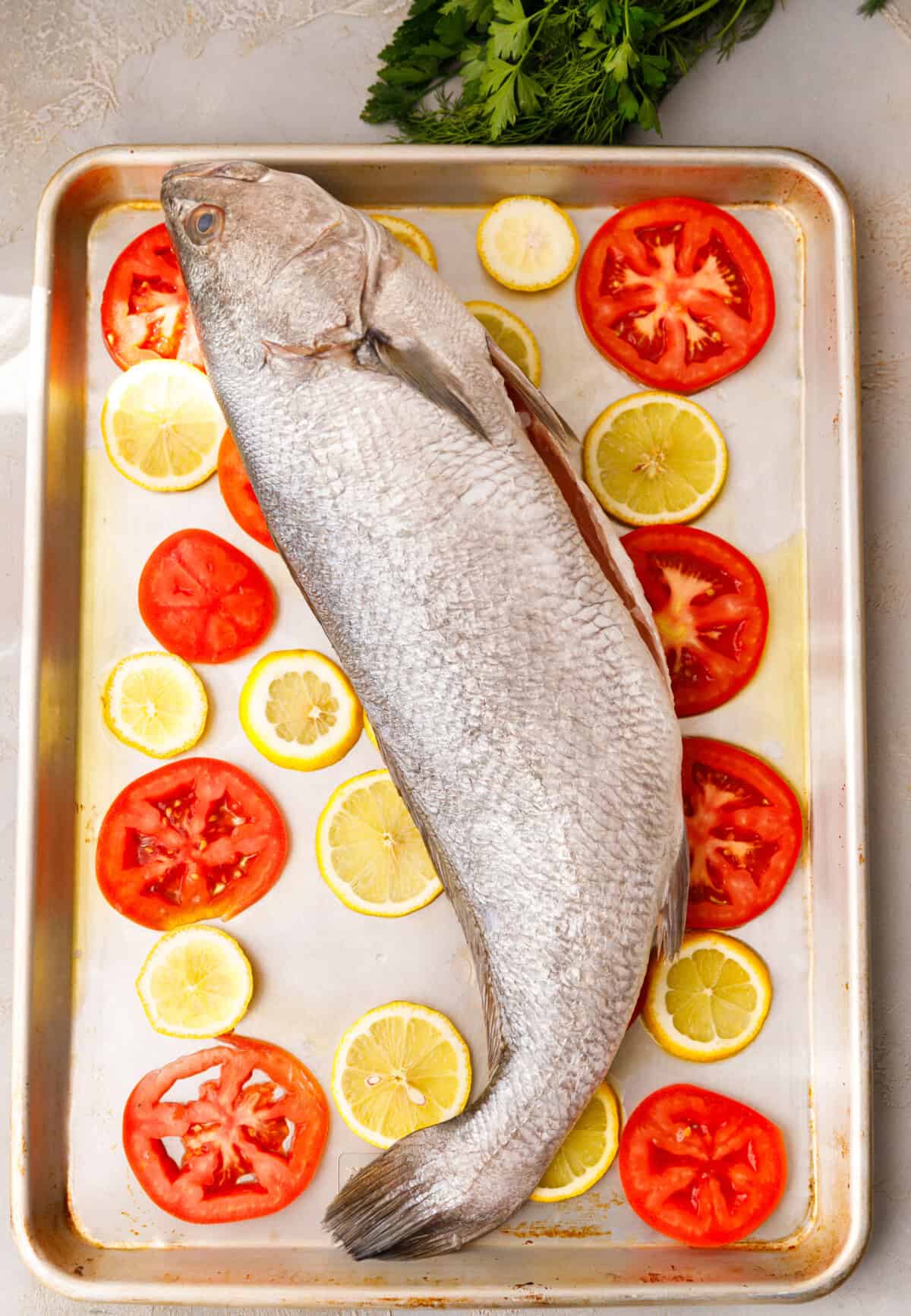 Whole milokopi fish placed on tomato and lemon slices with fresh thyme and rosemary before baking.