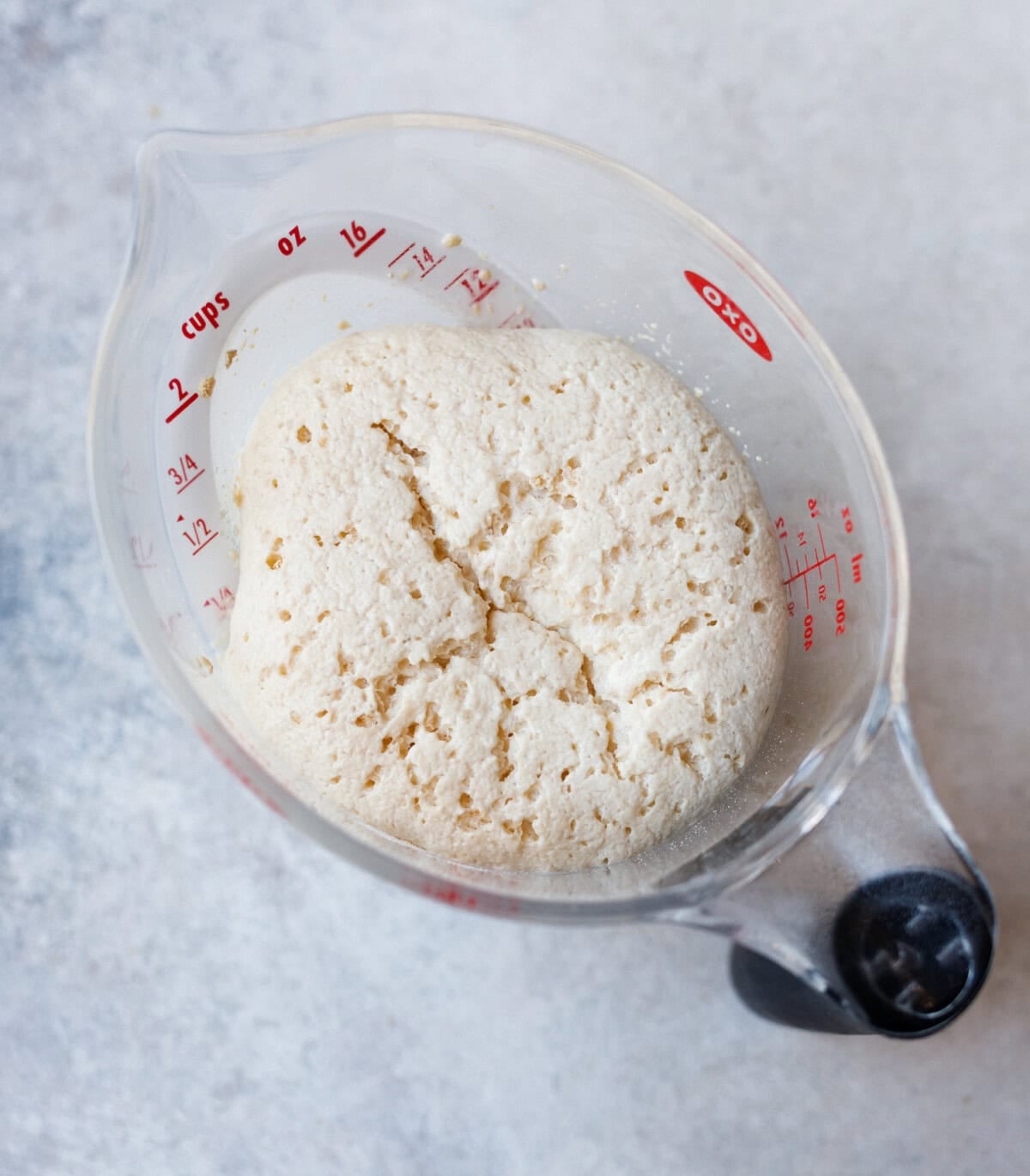 foamy activated yeast mixture ready for kulich dough