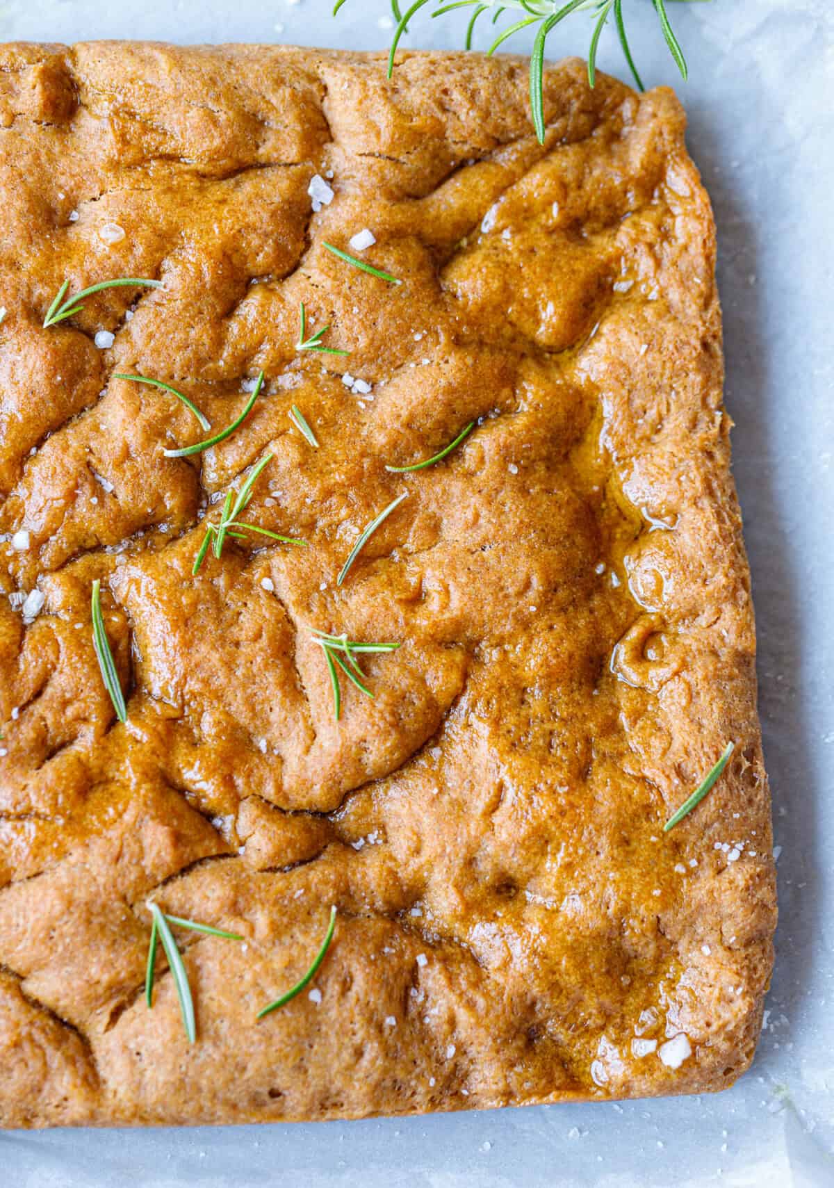 Golden whole grain focaccia drizzled with olive oil and scattered with fresh rosemary
