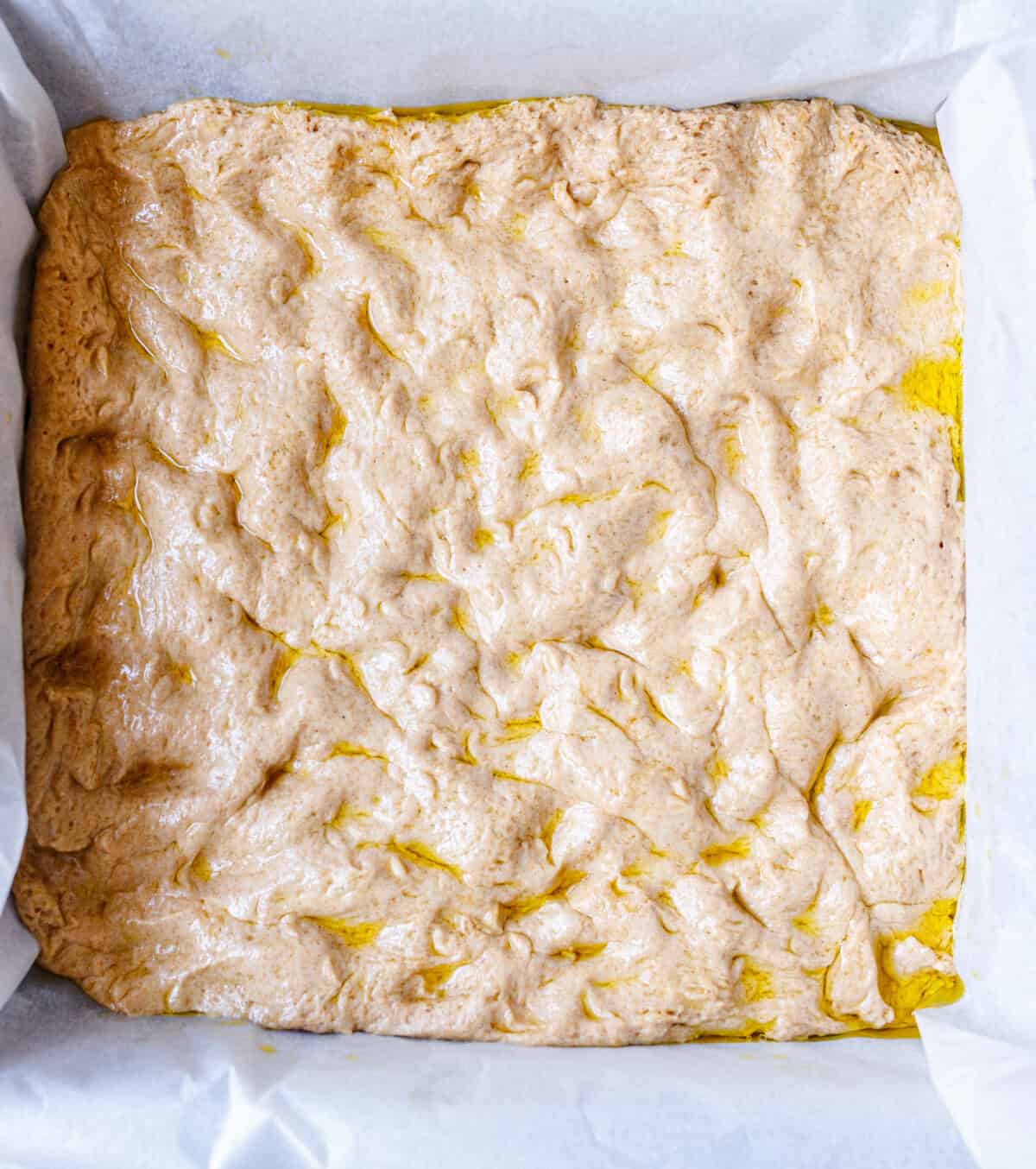 No-knead focaccia dough dimpled in a lined pan and drizzled with olive oil