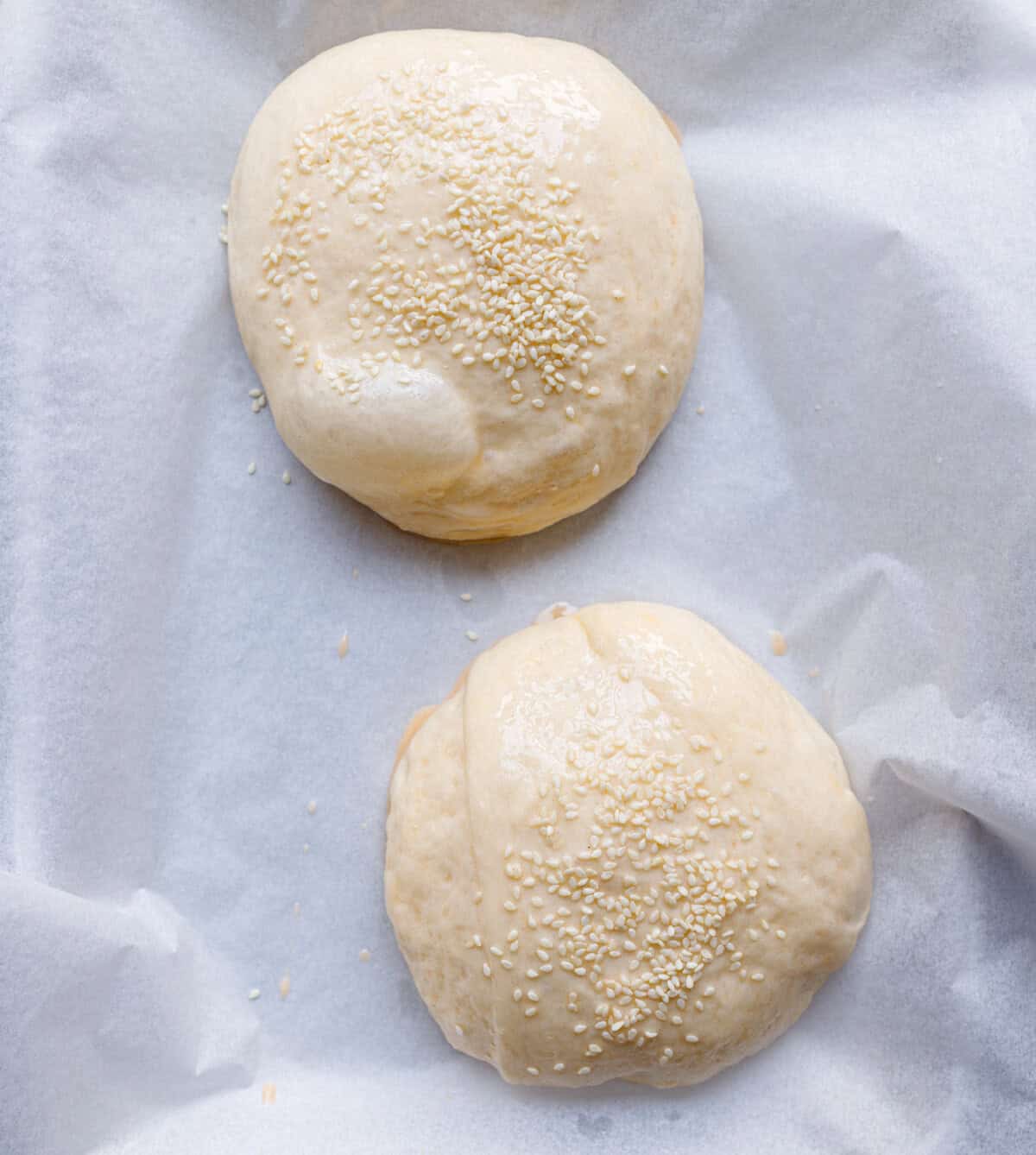 Risen brioche bun dough brushed with egg wash and sprinkled with sesame seeds