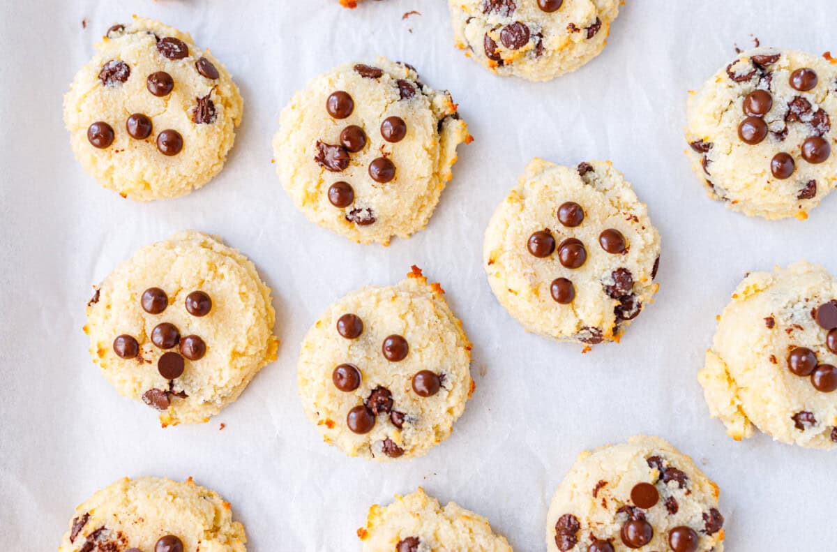 Rows of soft cottage cheese cookies studded with chocolate chips on parchment paper