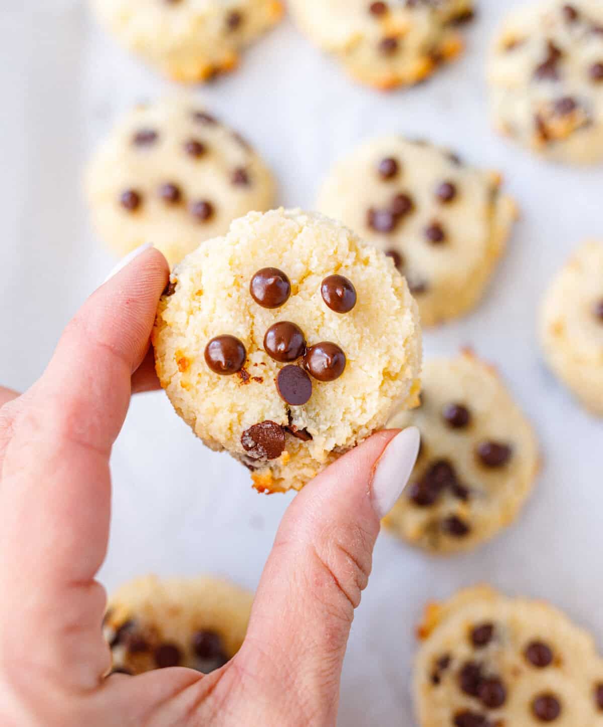 Hand holding a cottage cheese chocolate chip cookie above a tray of cookies