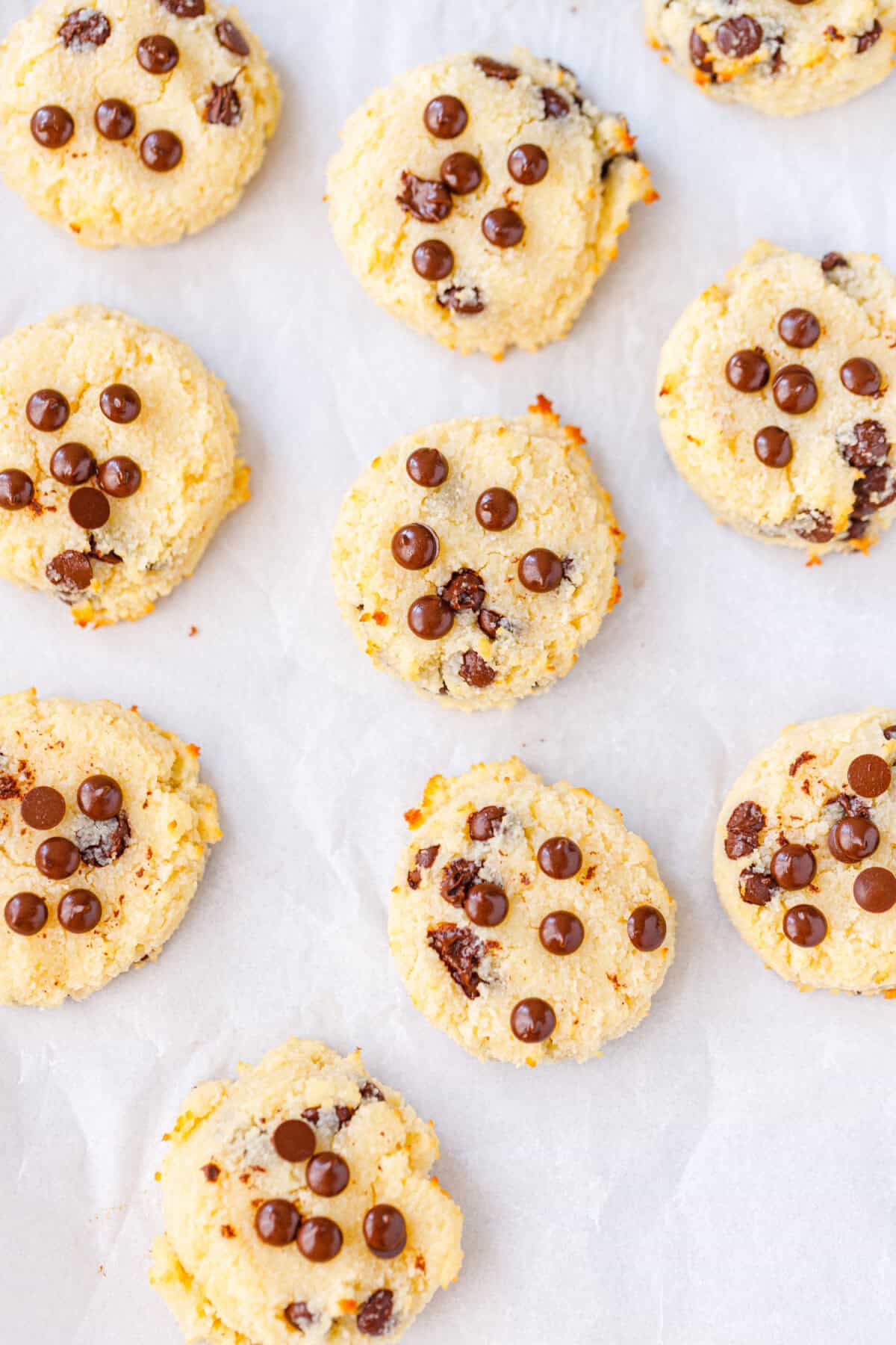 Low-carb cottage cheese cookies fresh from the oven on a parchment lined tray