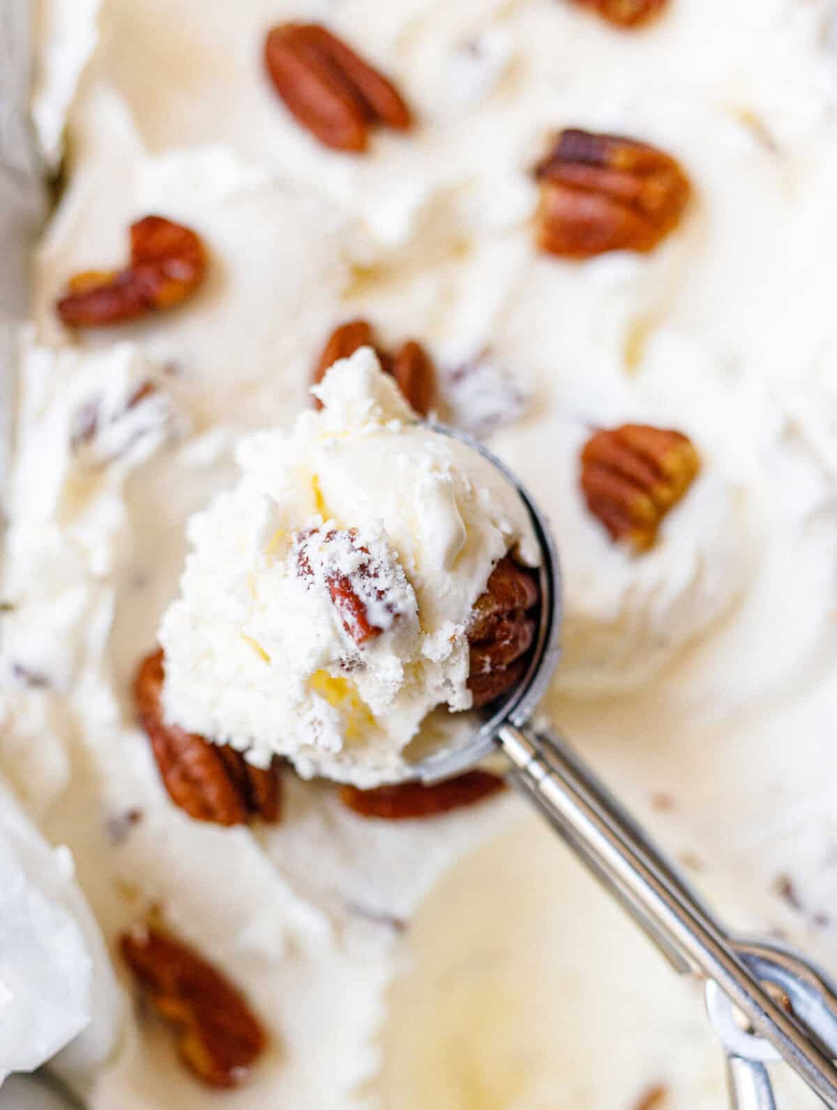 Ice cream scoop filled with creamy homemade butter pecan ice cream with buttery toasted pecans.